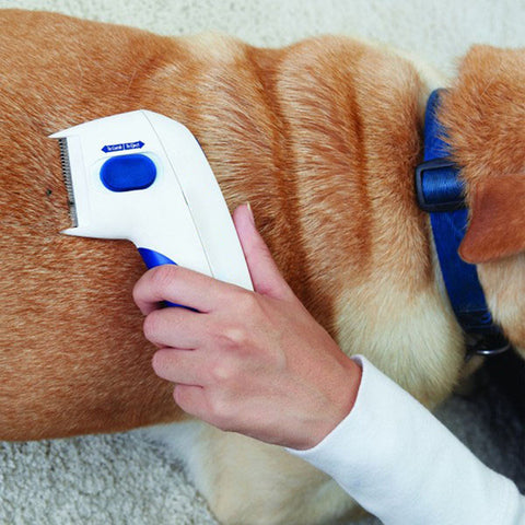 Flea Doctor™ Electronic Comb That Kills & Removes Fleas From Your Pet!